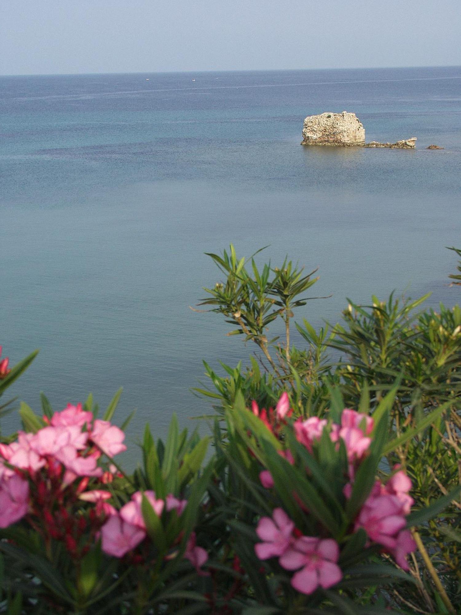 Seaview Aparthotel Nea Poteidaia Ngoại thất bức ảnh